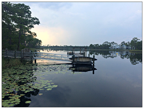 seaside westernlake lilies evening 2018 florida watercolor 30a fl usa canoe iphone5s contrejour landscape reflections