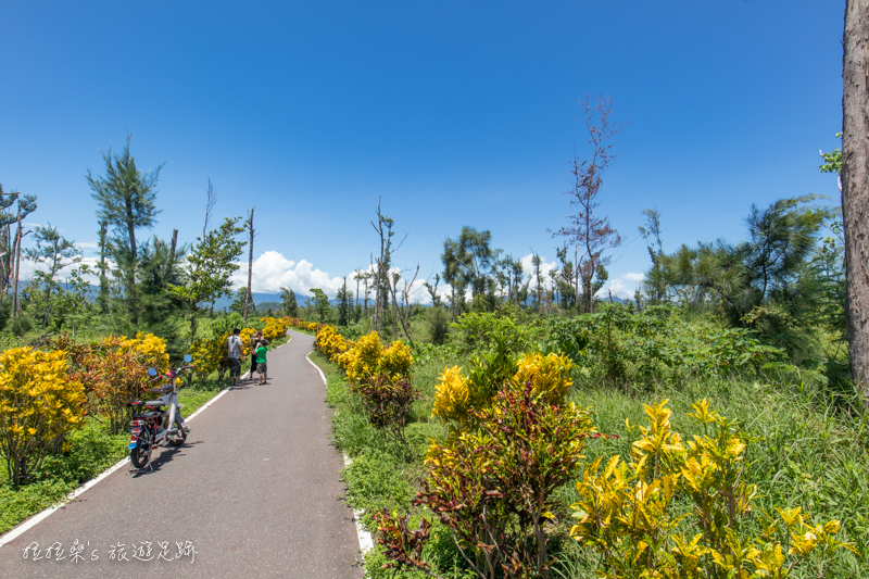 台東森林公園，清澈如鏡的琵琶湖、視野寬闊的活水湖、鷺鷥湖，一起騎著單車暢遊公園湖景，感受東台灣的悠閒與放鬆