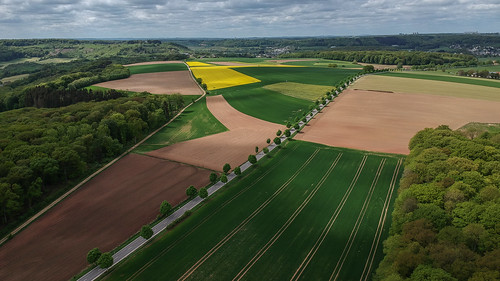 luxembourg birdsview countryside dji drone field flying forest green spark tree