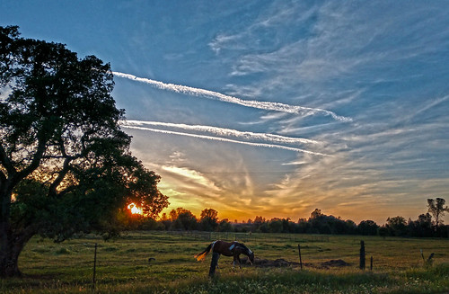 horse sunset picturesque clouds sky country grazing
