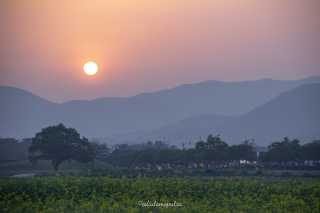 Sunset In Gyeongju
