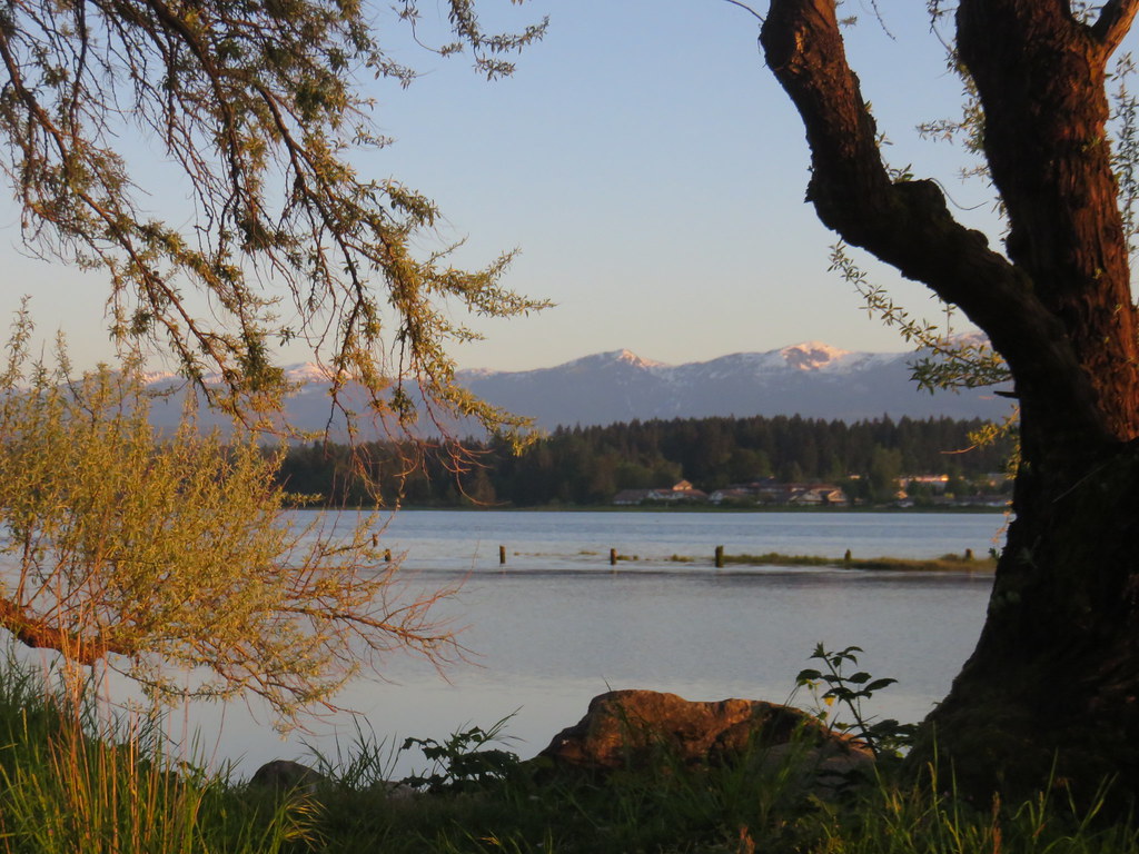 Looking out onto the Estuary  in Comox.