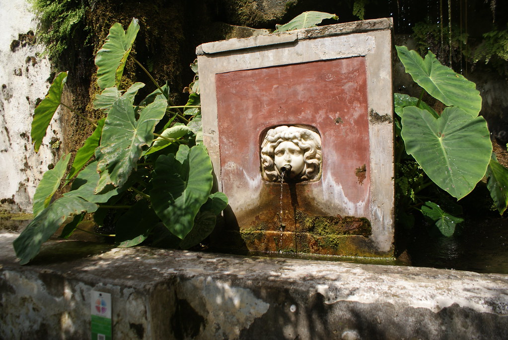 Une des fontaines du jardin de Salerne.
