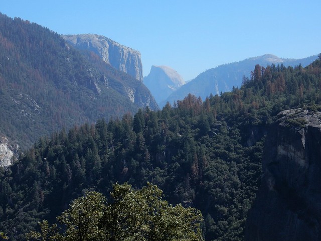 Yosemite National Park: Tioga Road, Tuolumne Grove y Glacier Point Road - Costa oeste de Estados Unidos: 25 días en ruta por el far west (19)