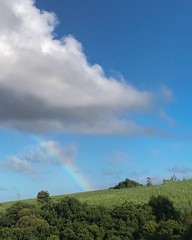 Rainbow in Ravine des Cafres, Reunion