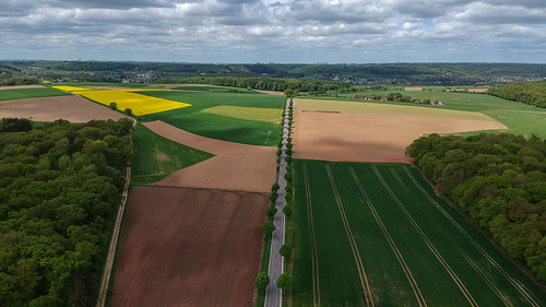 luxembourg birdsview countryside dji drone field flying forest green spark tree