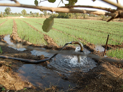 तालाबों के कारण पानीदार हुआ बालौदा लक्खा गाँव