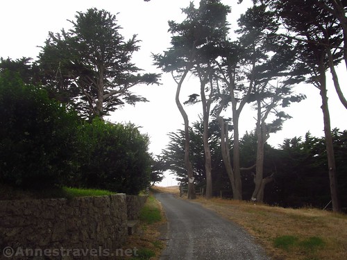 Road by the lifesaving station that takes you back to the parking area at Point Reyes National Seashore, California