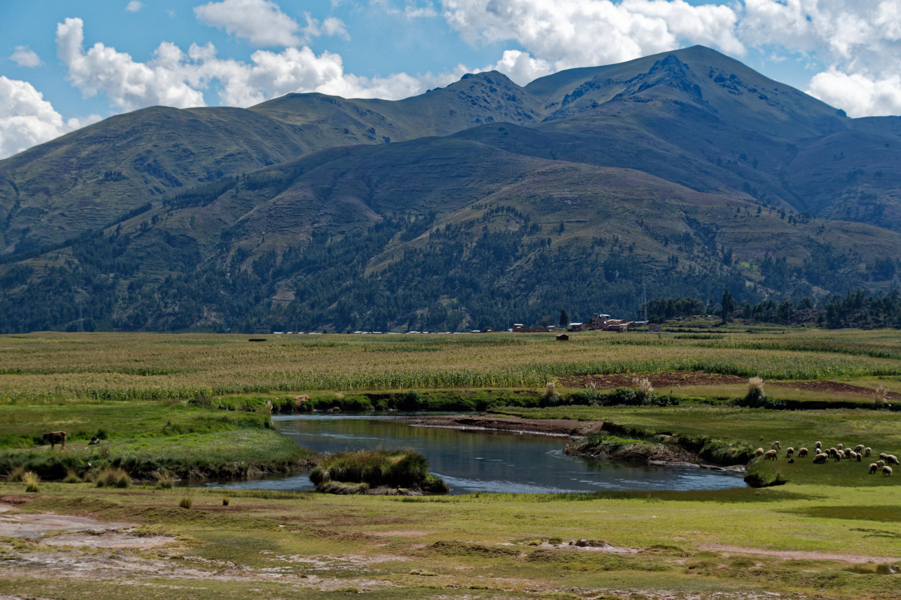 Landscape seen on the Titicaca Train