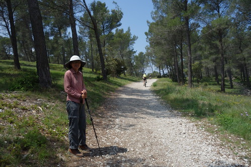 Walking from Saint-Rémy-de-Provence to Les Baux-de-Provence, France