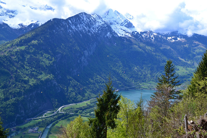 Escapada en familia a Ginebra (4 dias) - Blogs de Suiza - Etapa 3. Harder Kulm (Interlaken) (3)