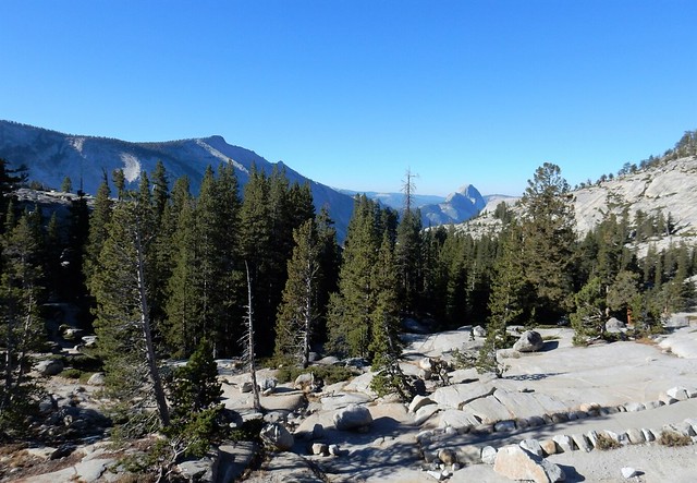 Yosemite National Park: Tioga Road, Tuolumne Grove y Glacier Point Road - Costa oeste de Estados Unidos: 25 días en ruta por el far west (8)