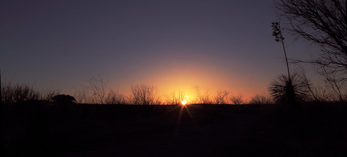 sunset arizona desert yucca