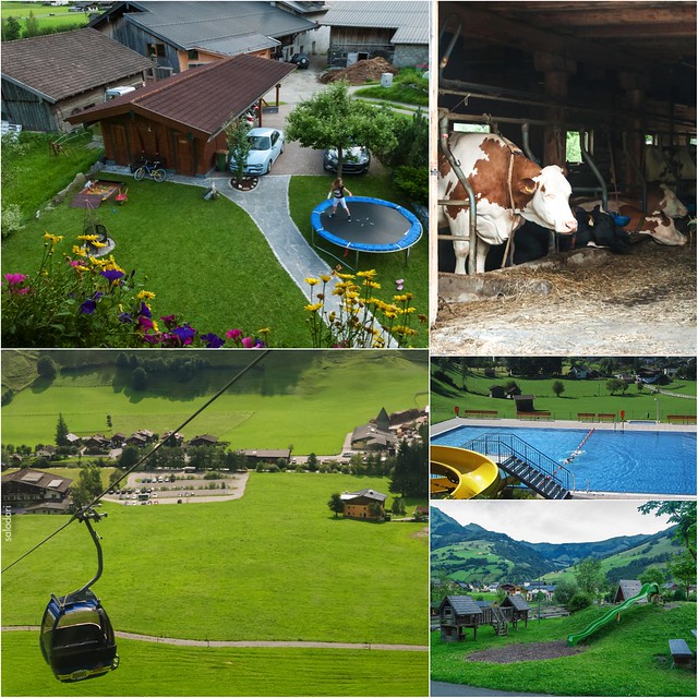 Austria en familia, montañas y lagos (Salzburgerland y Dachstein) - Blogs de Austria - ¿DÓNDE NOS ALOJAMOS Y QUÉ VISITAMOS? (3)