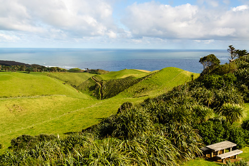manukauheads newzealand bench cloud field flax hill landscape nature plant sea seascape sky auckland nz