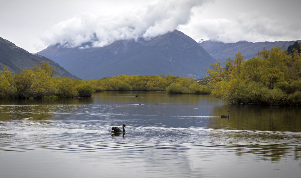 Glenochy Lagoon, New Zealand