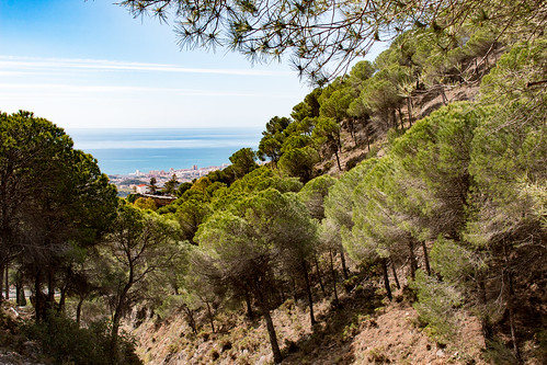 sierra mijas mountain range spain pine tree forest landscape sea mediterranean coast sky