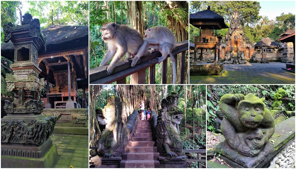 Monkey Forrest Bali