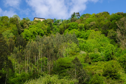 casa bosque árboles cielo nubes picado colina montaña monte house forest trees sky clouds chopped hill mountain mount belmonte asturias asturies españa paraísonatural principadodeasturias principalityofasturias spain camínrealdelamesa es naturalparadise