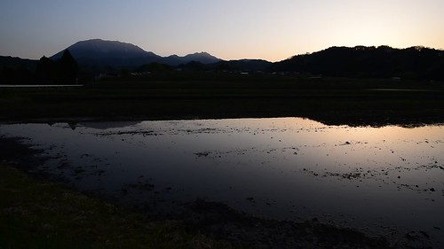 鳥取県 江府町 japan 大山 山 mountain 日の出 sunrise 棚田 田園 field