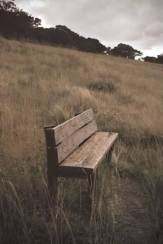 bench grass landscape nikon d3400 field darktable chair outdoor