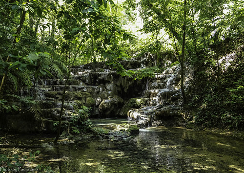 travel mexico palenque landscape nature tree forest rainforest selva water river otulum chiapas rock waterfall