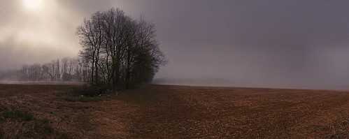 andrew andy aga aliferis iphone iphonography landscape fog morning pennsylvania panorama