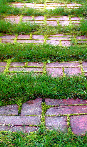 brick stone path stepping