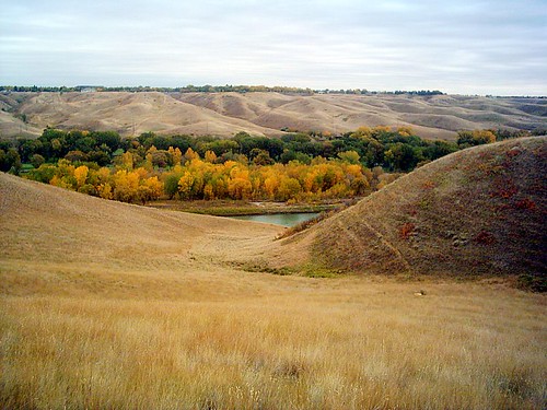 old trees man colour leaves river oldman valley coulee lethbridge coulees