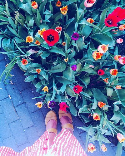 tulips shoe per diem, may 11, 2018