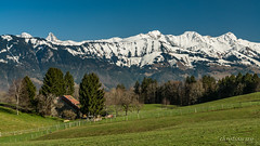 La ferme et les préalpes (Switzerland)