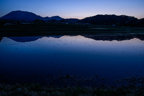 江府町 鳥取県 棚田 田園 field 大山 japan 山 mountain 日の出 sunrise