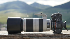 SONY ⍺7III & Canon EF100~400/4.5~5.6L IS II on Metabones T IV seen by SONY ⍺6500 & Sigma 50mm ƒf/1.4 DG HSM | Art on Sigma MC-11