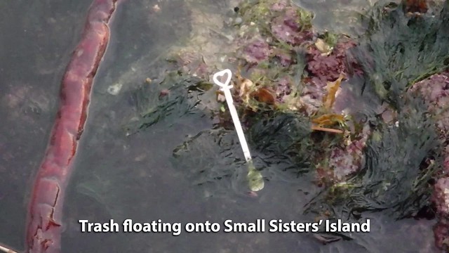 Trash floating up at Small Sisters' Island