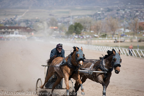 ogden chariots sports utah unitedstates us usrockymountain