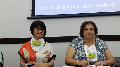 2018-5-3 Brazil: Day 1 - IDWF Continental Meeting for affiliates in Americas