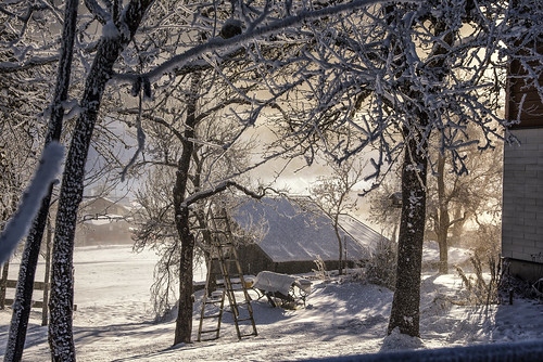 winter cold snow white morning sunny sun sunrise frost frozen air crisp tree trees shed house ladder wood outdoor outside austria europe dachstein west gossau landscape nature beauty relax