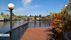 I Love Sushi - Lake Bellevue | Bellevue.com
