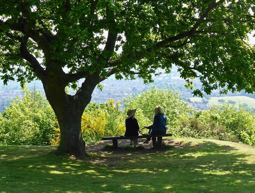 shade talking chatting oak malvern malvernhills worcestershire worcestershirebeacon stannswell stannsknoll friends friendship tree view