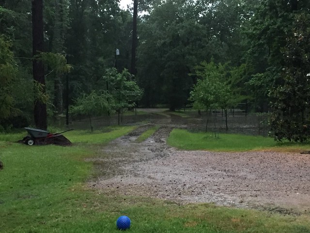 May 2018 Flooding