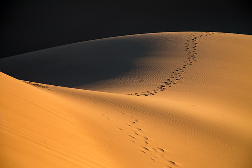 maroc morocco desert désert sand dune sanddunes ergchigaga