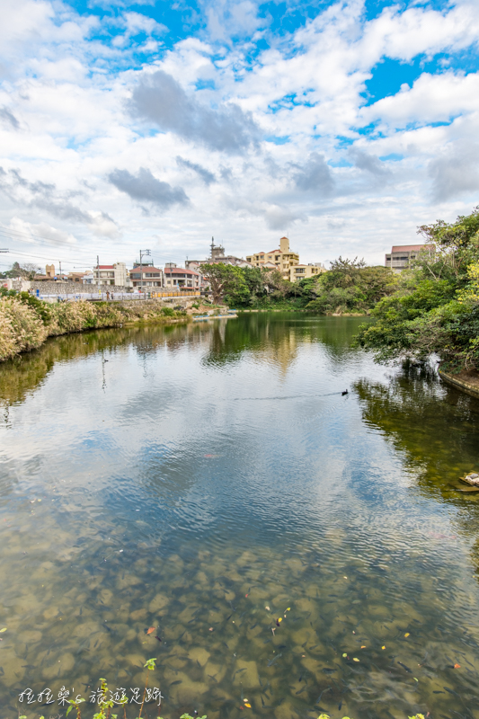 日本沖繩龍潭，首里城旁的迷人湖景，漫步於湖畔更有可愛親人的小鴨相陪，一起感受琉球的悠閒風光