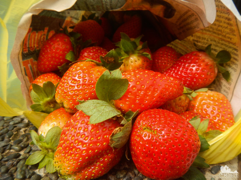 Baguio strawberries