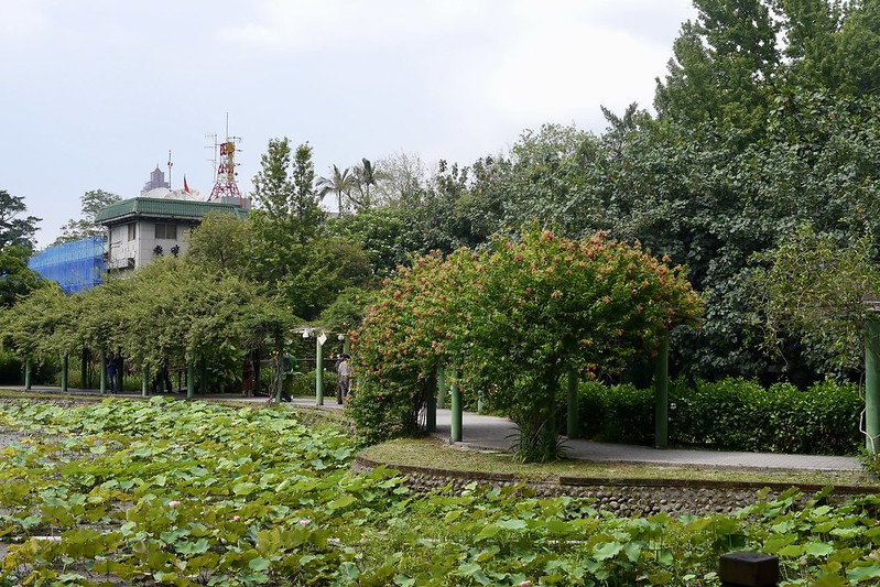 台北植物園2018