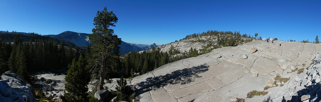 Yosemite National Park: Tioga Road, Tuolumne Grove y Glacier Point Road - Costa oeste de Estados Unidos: 25 días en ruta por el far west (9)