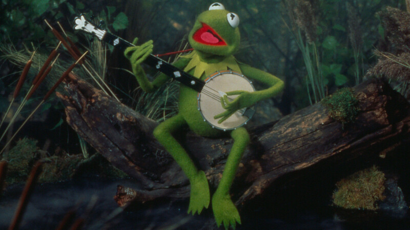 Kermit the Frog Singing on a Log