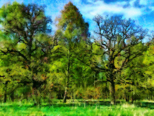 digital kalevvask postprocessed photoshop photomanipulation digiart photoart painterly artistic creative estonia spring manipulated ownphoto phototopainting trees oaks 2018