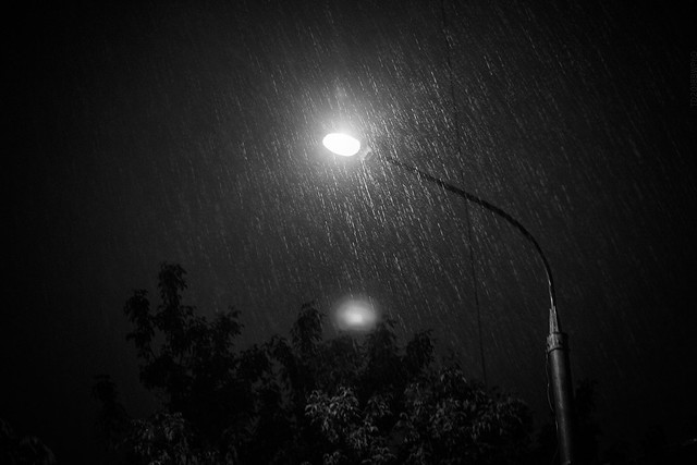 2018.05.19_139/365 - Actually... I love Rain.
