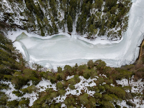 bay trees drone forest birdseyeview winter ice telemark norway no
