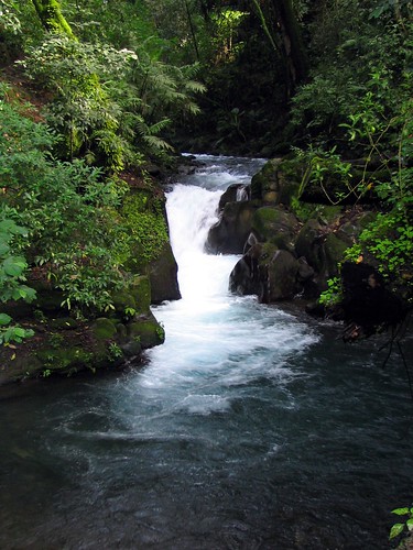 nature water river uruapan